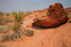 USA Valley of Fire juni08 011